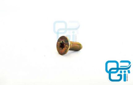 Pride valve affinity indicator screw