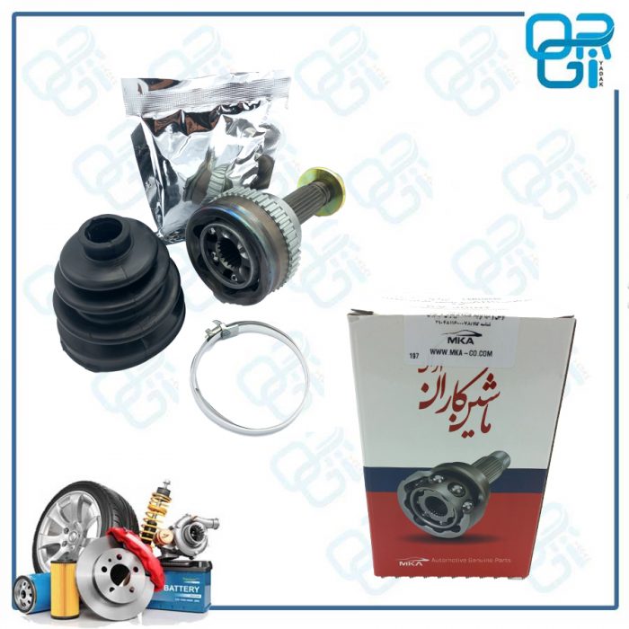 سر پلوس 22خار تیبا