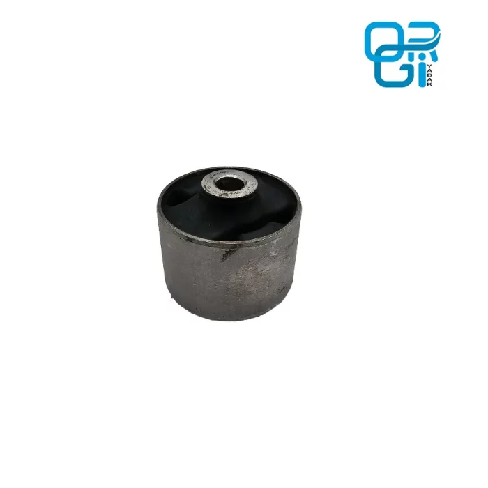 بوش اکسل ریو بهین